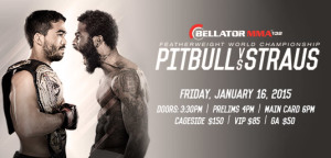 Bellator132_535x257