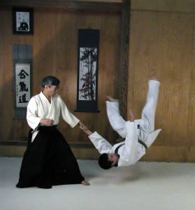 aikido-plr-articles