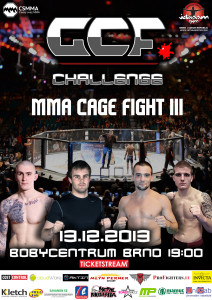 mma-cage-fight-3-a4-2013